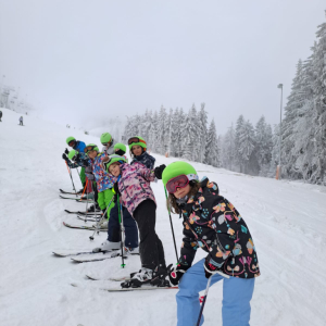 Lyžařská sobota, leden - začátečníci a mírně pokročilí